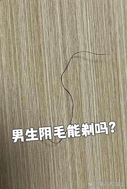 隐私布位的毛可以剃吗