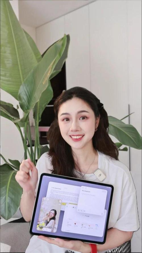 ipad视频手势