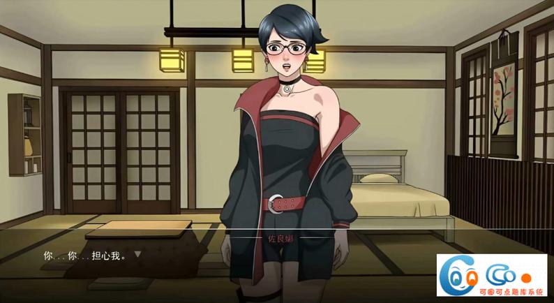 女忍者训练师1.62赞助商