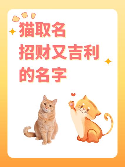 小猫起什么名字好