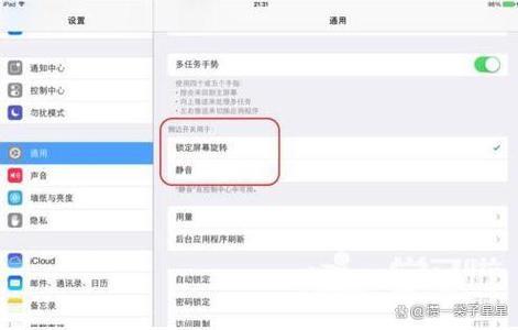 苹果平板怎么不能旋转屏幕