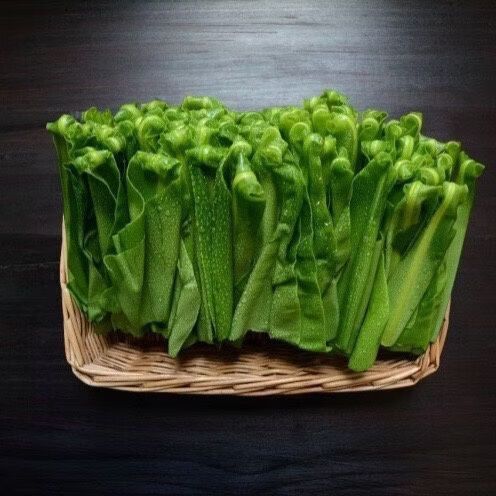 顺丰陆运改空运多少钱