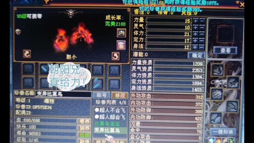 天龙八部95带什么宝宝