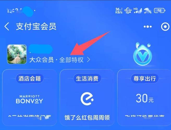 支付宝大众会员到期会有什么影响