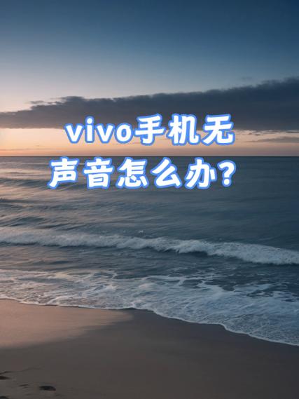 vivo手机怎么突然没声音了