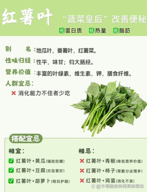 地瓜能天天吃吗