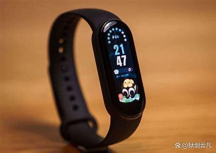 手环数据怎么同步微信截图2