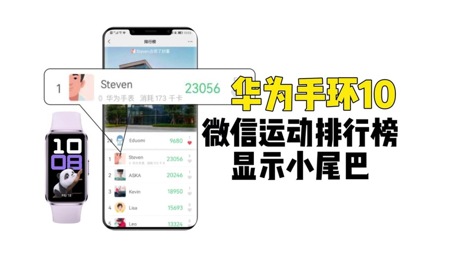 手环数据怎么同步微信截图3