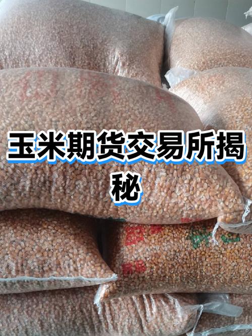 期货玉米合约几个月有效