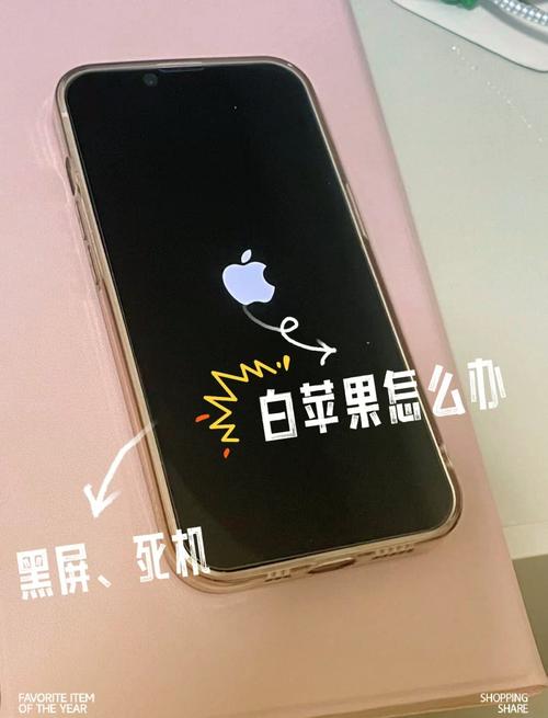 iphone开不开机 一直闪苹果