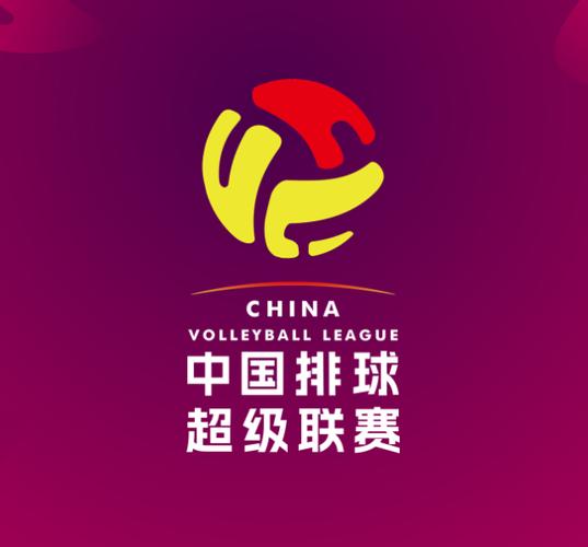 中国排球协会