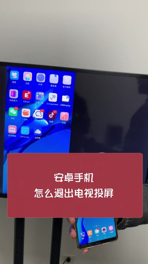 为什么投屏看不了弹幕截图3