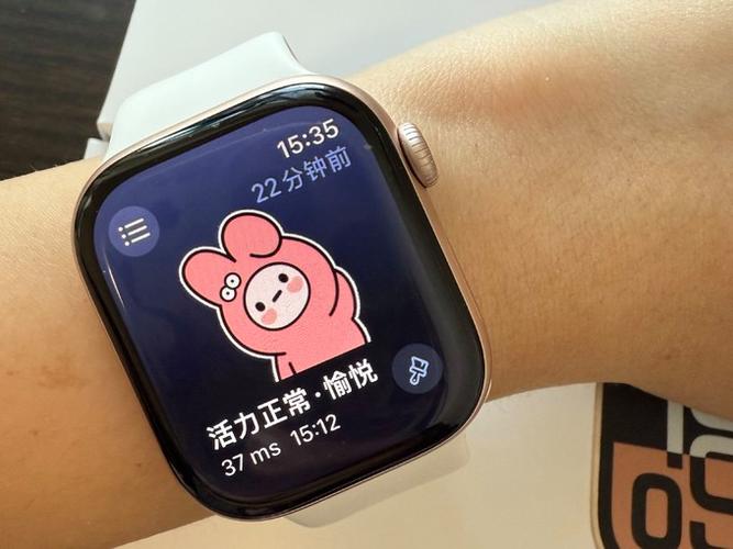 苹果手表软件更新后不能安装怎么办