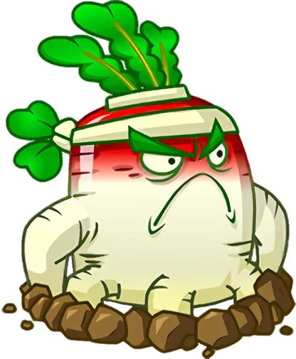 植物大战僵尸萝卜