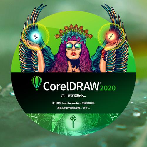 cdr2020下载
