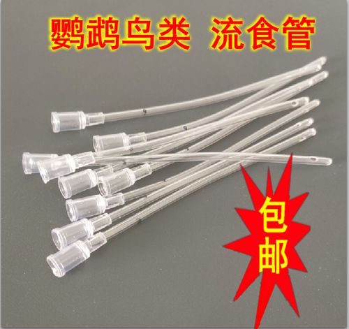 喂鸟器怎么引导小鸟来吃