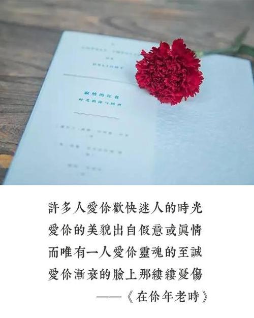只有被爱过的人才会懂得如何爱人