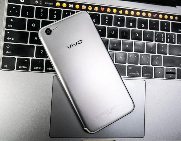 vivo手机屏幕变成灰色