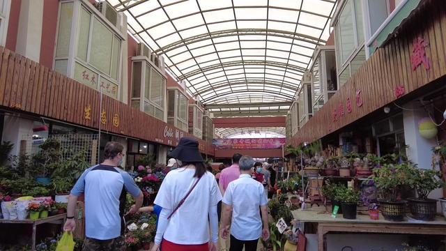 上海现在还有几个花鸟市场