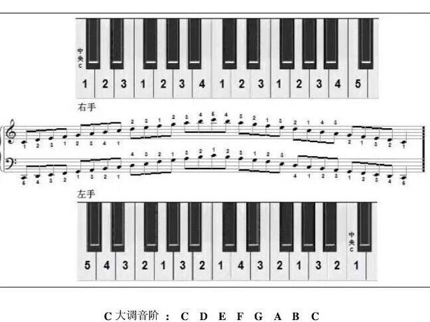 初学钢琴怎么练指法视频教学截图3