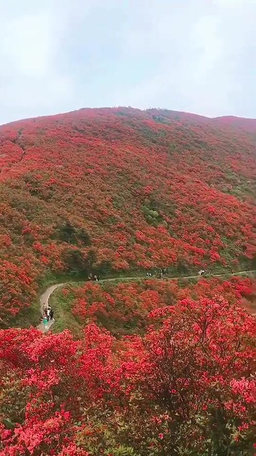 三都景点大全