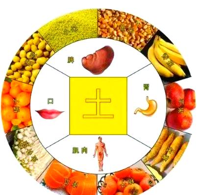 南瓜和黄豆相克吗