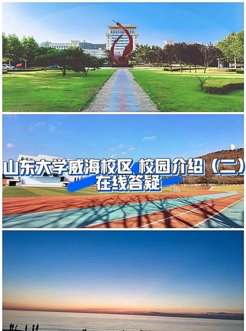 山东大学威海什么档次