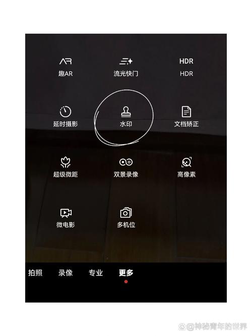 华为手机在拍照时如何显示日期截图3