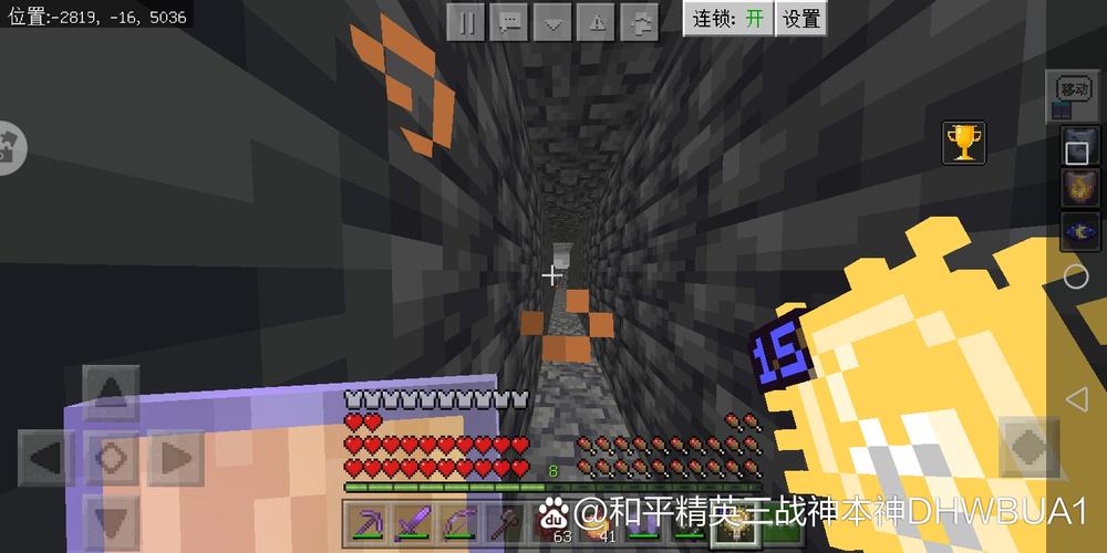 亮度15的光明方块