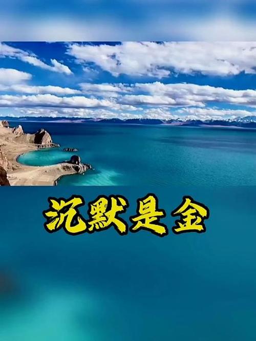 沉默是金国语版