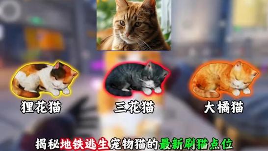猫的逃生本领