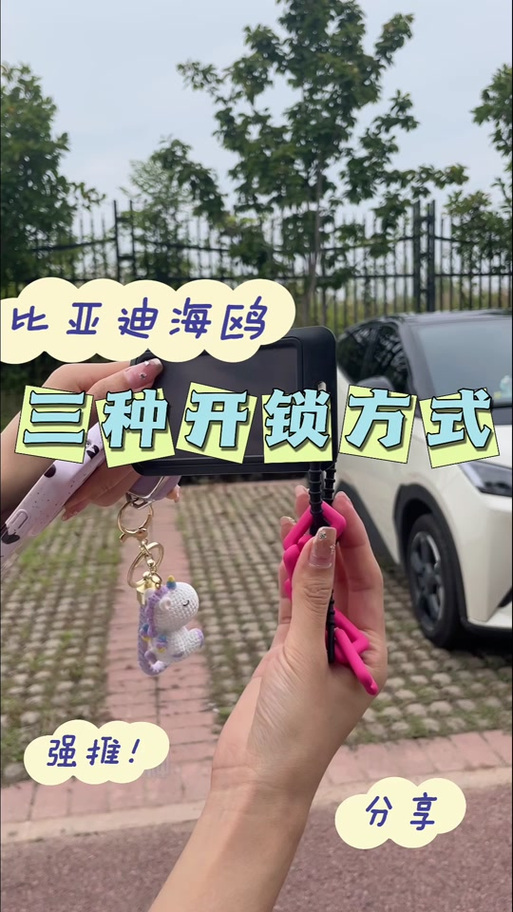 比亚迪海鸥怎么绑定手机nfc截图2