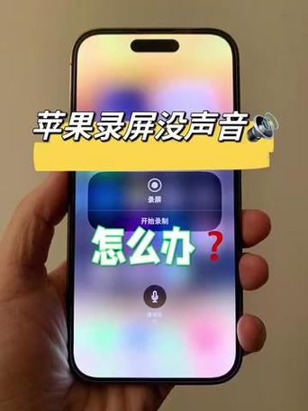 苹果手机视频回音