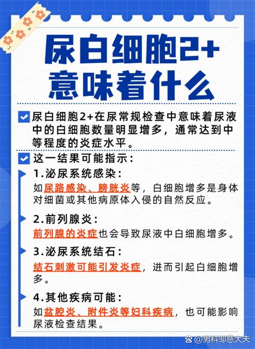 白细胞加2是怎么回事