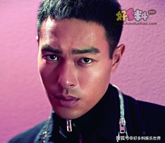 杨祐宁身价多少亿
