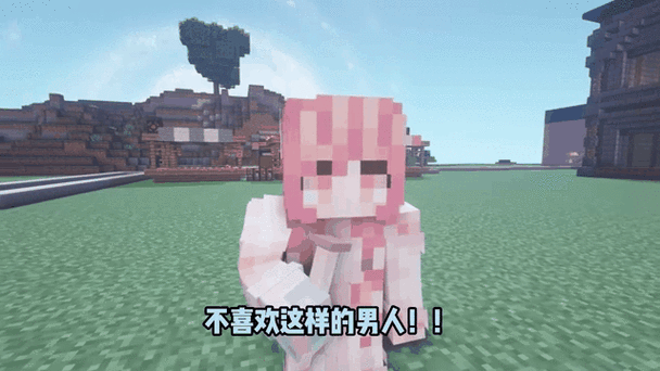 我的世界木兰