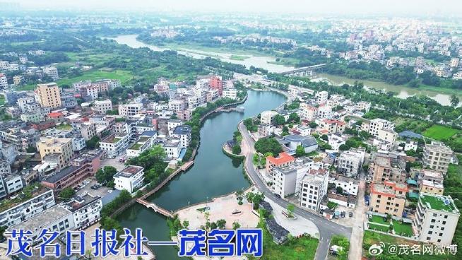 电白区论坛官网