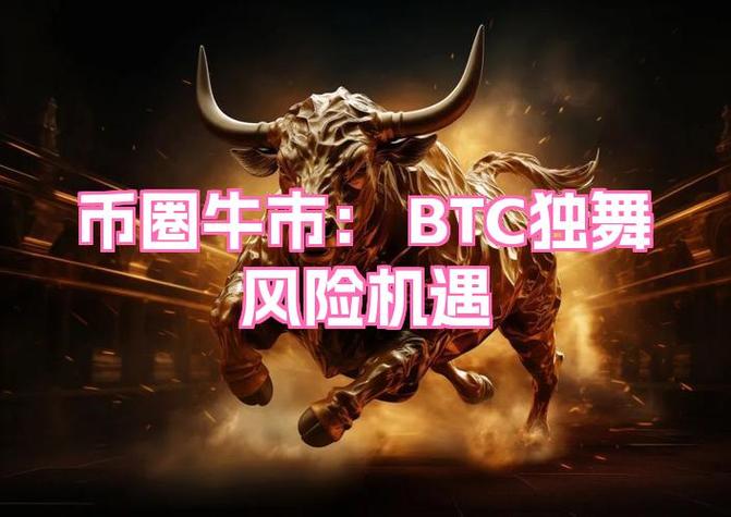 比特币下一轮牛市2020