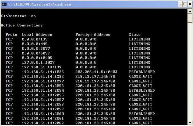 netstat plus汉化版