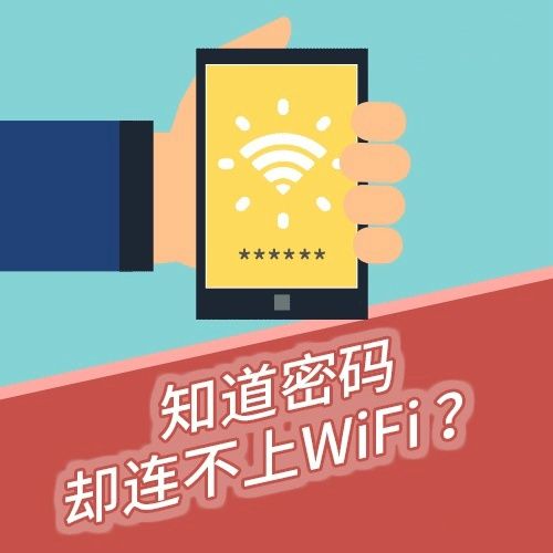 明明密码正确却连不上