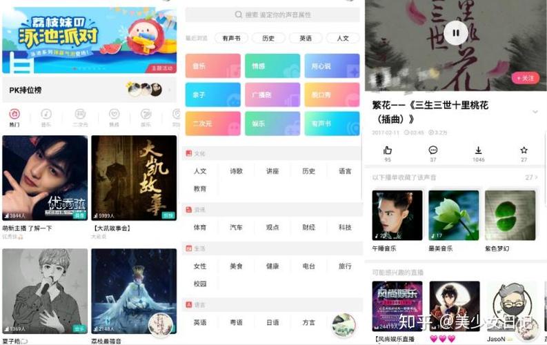 荔枝app怎么用声音赚钱
