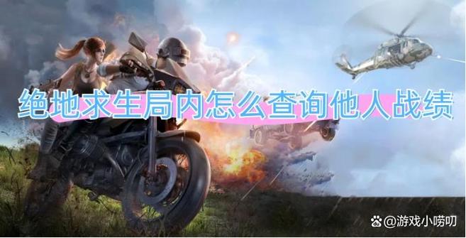 pubg怎么关战绩