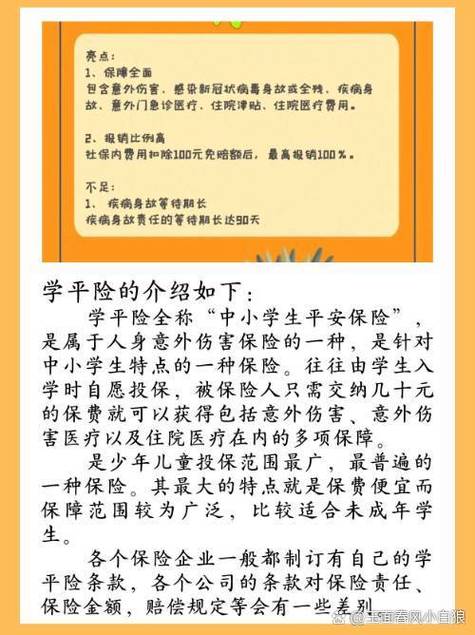 太平吉祥学平险2023学童版