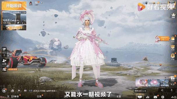 和平精英Anna