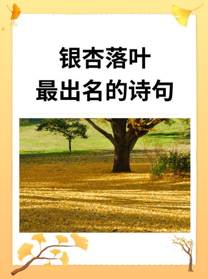 《银杏》现代诗