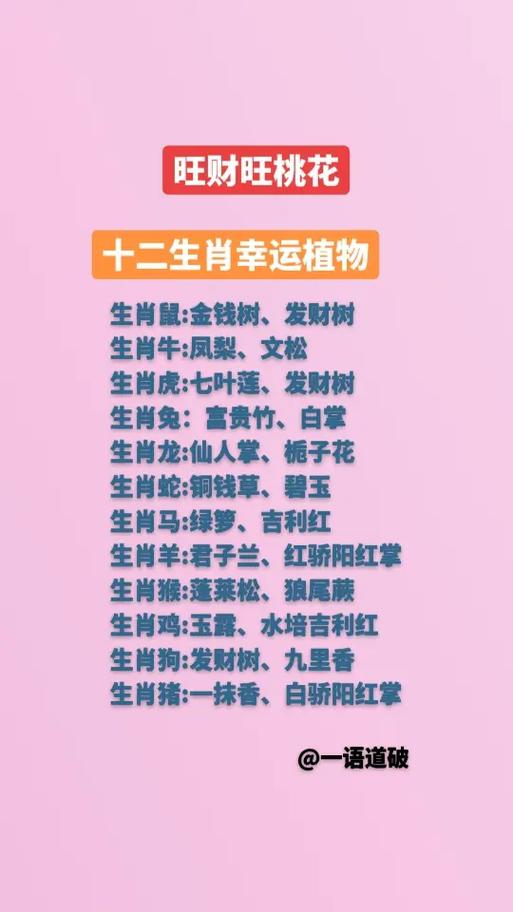 十二属相幸运树