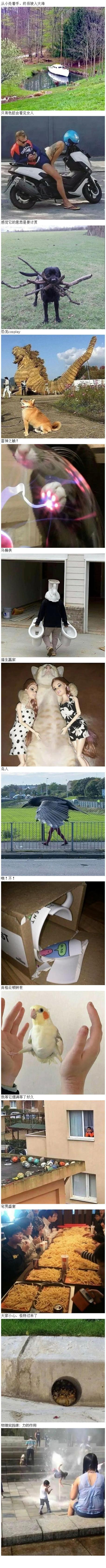 相册里老有些莫名其妙的图片