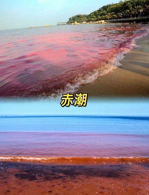 赤色南洋1912