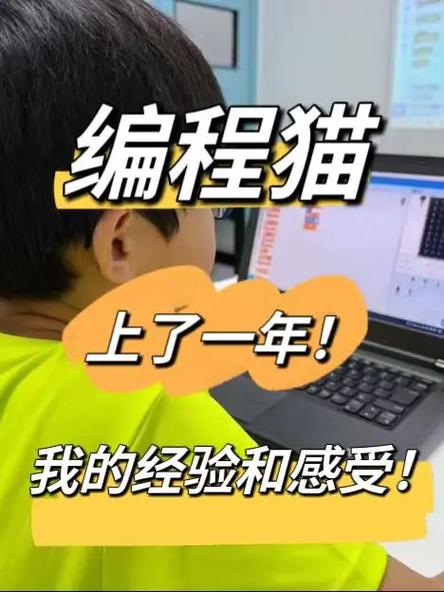 kitten编程猫和python