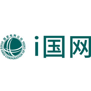安装i国网